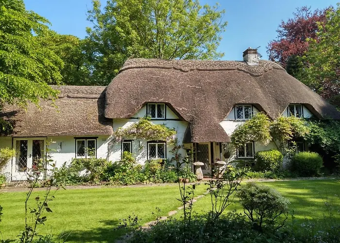 Thatched Eaves